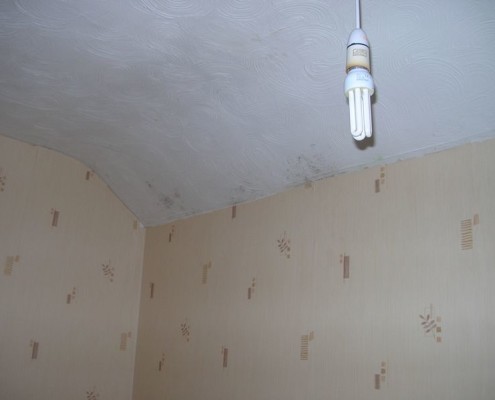 Removing Mould and Fungus for Painting