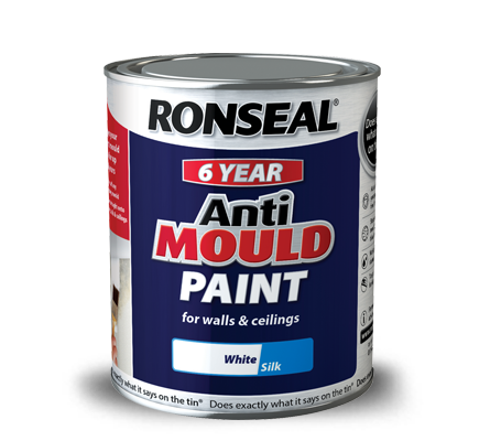 Removing Mould and Fungus for Painting