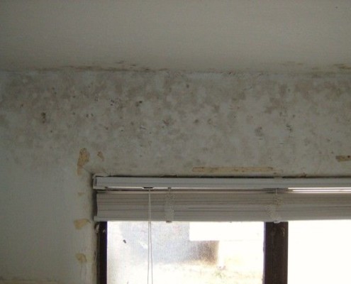 Bathroom, Removing Mould and Fungus for Painting