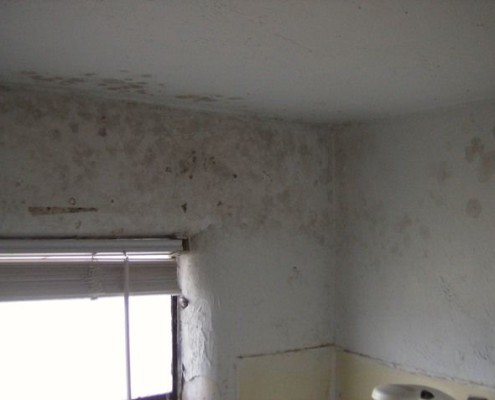 Bathroom, Removing Mould and Fungus for Painting