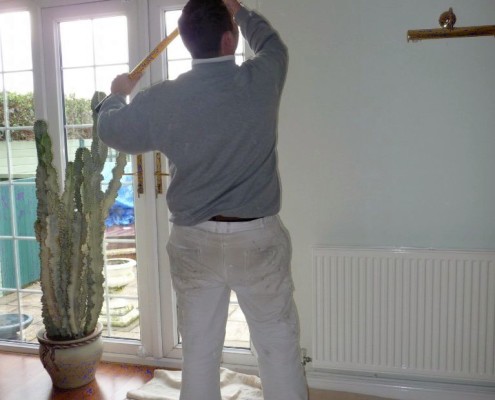 Professional Painter Decorator Mould Removal