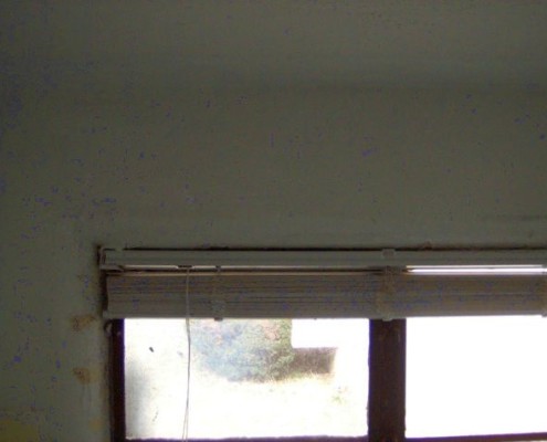 Black Mould Removal for Painting